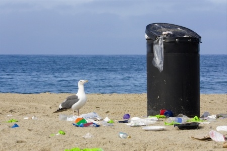 post7veranoyreciclaje